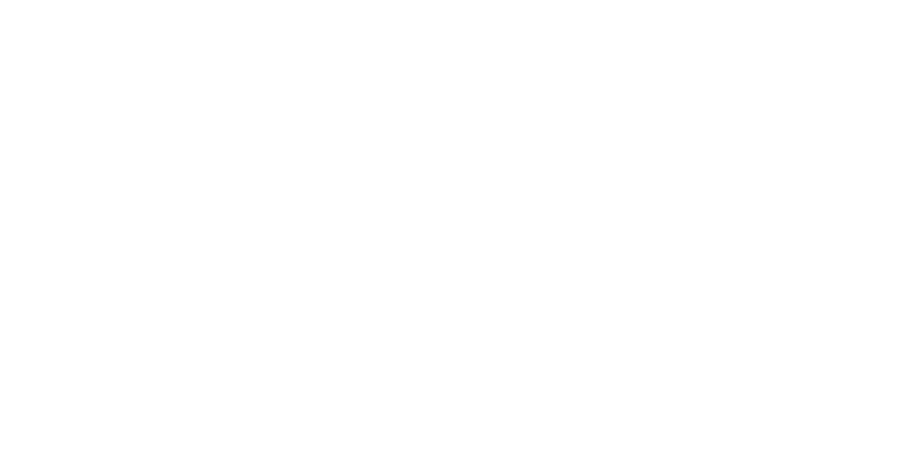 Meeple Madness