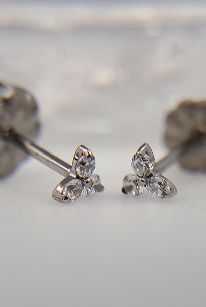 Traditional Earrings in Titanium