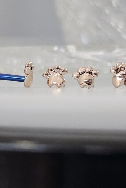 Paw Print 14k Gold - Press-Fit end