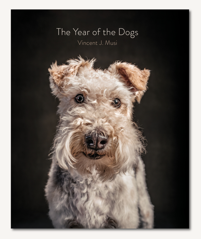 THE YEAR OF THE DOGS