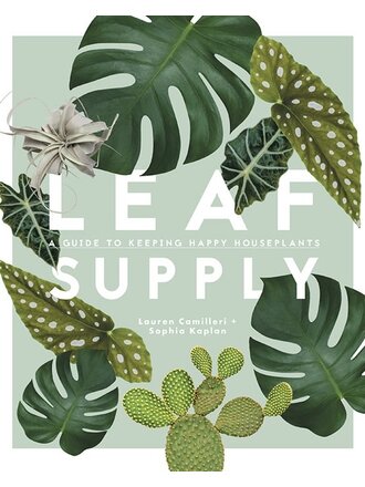 PENGUIN RANDOM HOUSE LEAF SUPPLY: A GUIDE TO KEEPING HAPPY HOUSE PLANTS