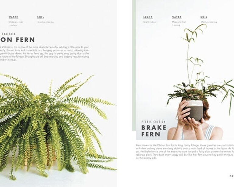 PENGUIN RANDOM HOUSE LEAF SUPPLY: A GUIDE TO KEEPING HAPPY HOUSE PLANTS