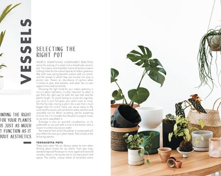 PENGUIN RANDOM HOUSE LEAF SUPPLY: A GUIDE TO KEEPING HAPPY HOUSE PLANTS