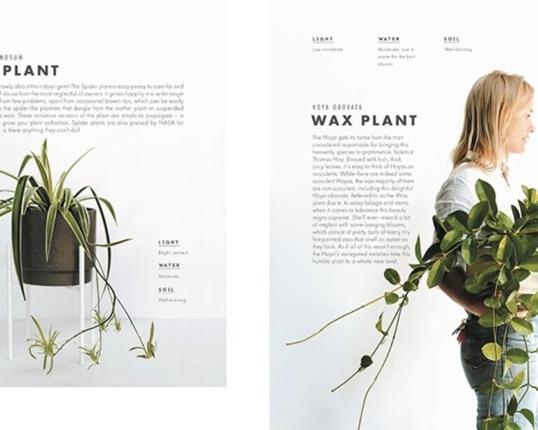 PENGUIN RANDOM HOUSE LEAF SUPPLY: A GUIDE TO KEEPING HAPPY HOUSE PLANTS