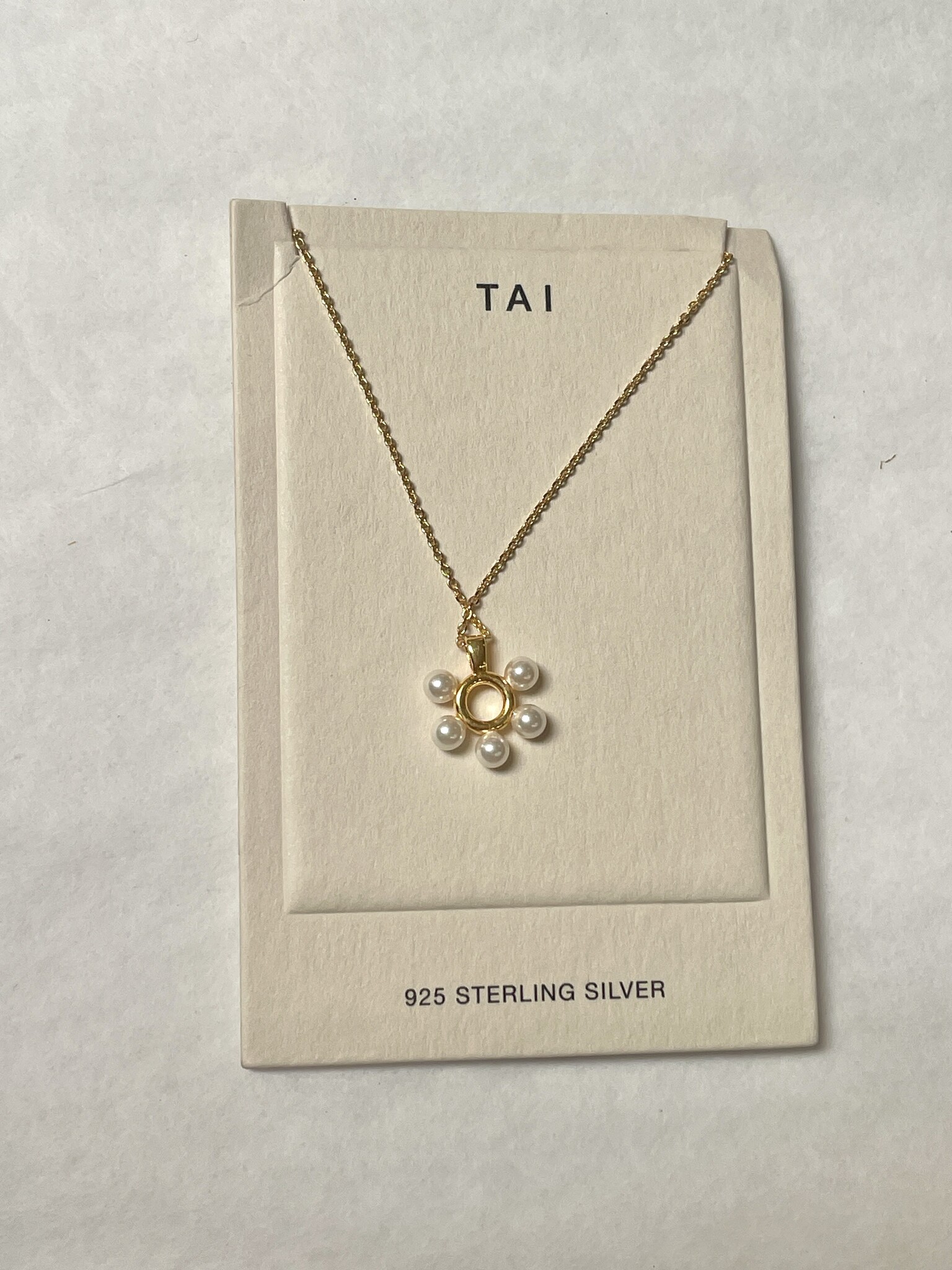 Taiga Igari　Sealing Necklace Taiga Igari Sealing Necklace