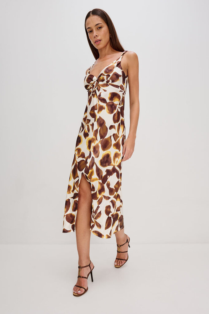 RAILS VIVIANA DRESS IN ESPRESSO LILY