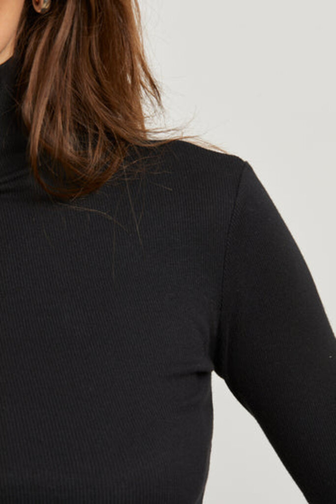 PERFECT WHITE TEE HAYDEN LUXE RIB TURTLENECK IN TRUE BLACK