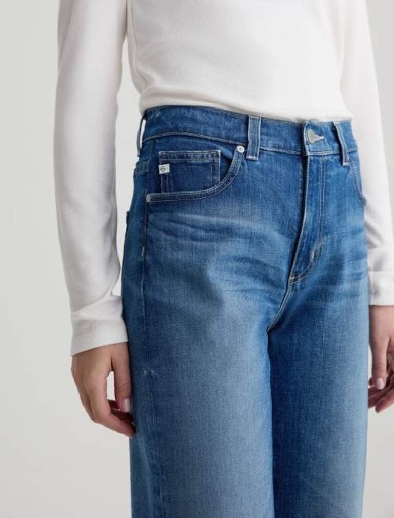 AG BRINLEY CROP IN OWENS VALLEY