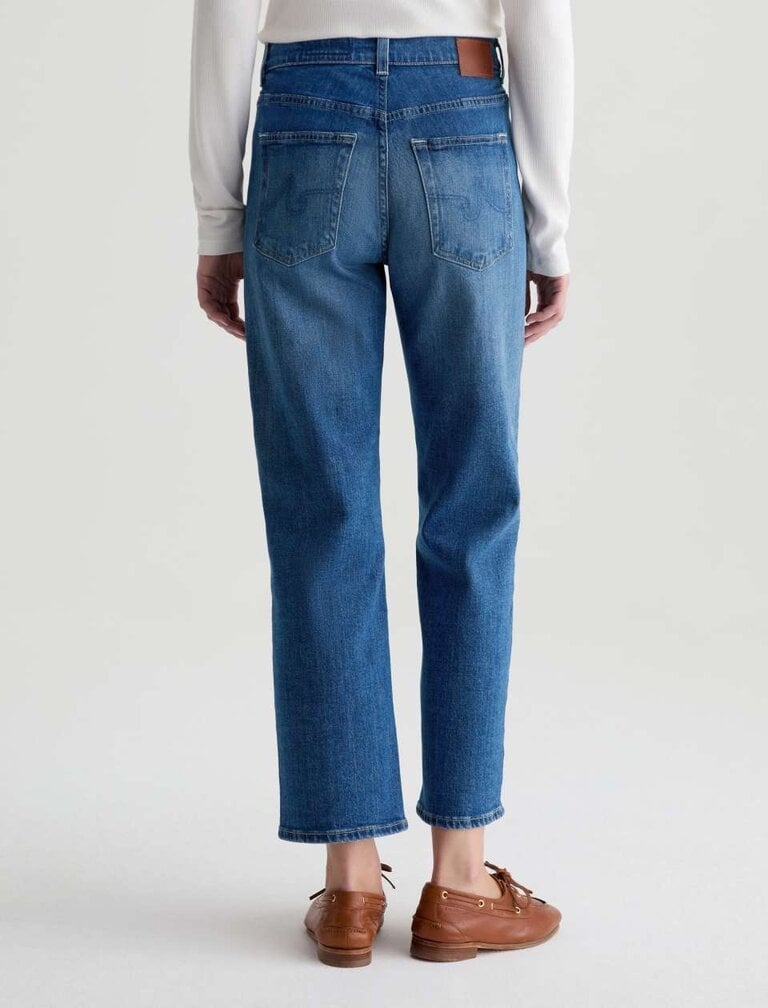 AG BRINLEY CROP IN OWENS VALLEY