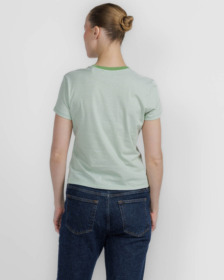 STRIPE BABY TEE IN JADE GREEN MULTI