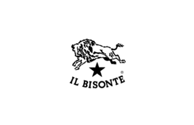 IL BISONTE