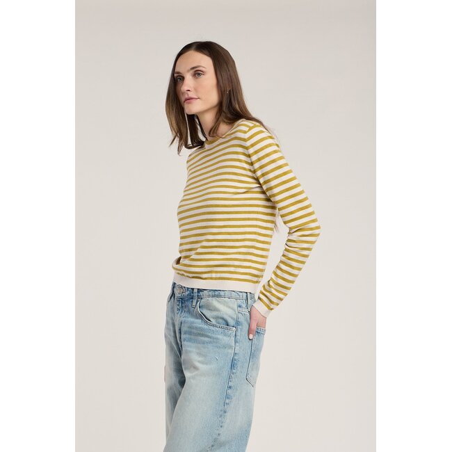 VELVET GOLD  L/S STRIPE ROXY CREWNECK SWEATER