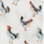 MILKBARN ORGANIC BUNDLE OF BURPIES