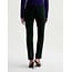 AG VELVET MARI STRAIGHT LEG PINE