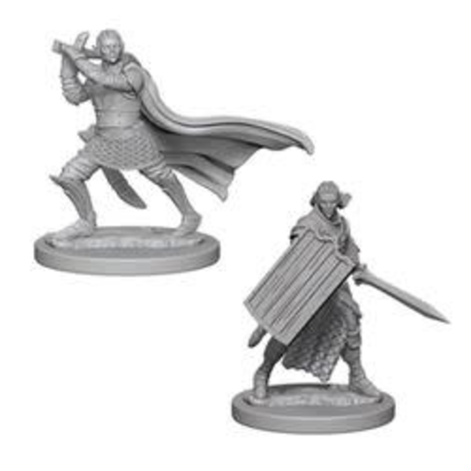 Unpainted Minis PF | Elf Paladin Male | W02 | 72608