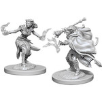 Unpainted Minis D&D | Tiefling Warlock Female | W06 | 73389