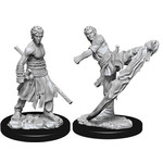 Unpainted Minis D&D | Half-Elf Monk Male | W10 | 73838