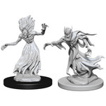 Unpainted Minis D&D | Wraith & Specter | W03 | 72570