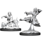 Unpainted Minis D&D | Human Monk Female | W11 | 90008