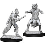Unpainted Minis D&D | Human Monk Male | W07 | 73670