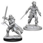 Unpainted Minis D&D | Vampire Hunters | W07 | 73676