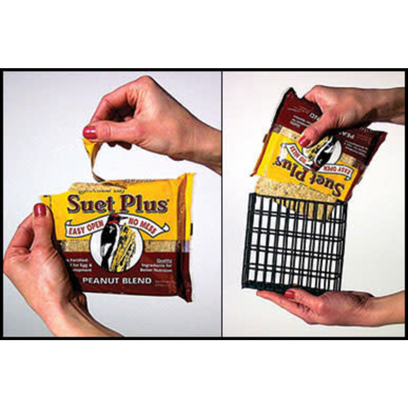 Suet Cake - Blueberry Twist