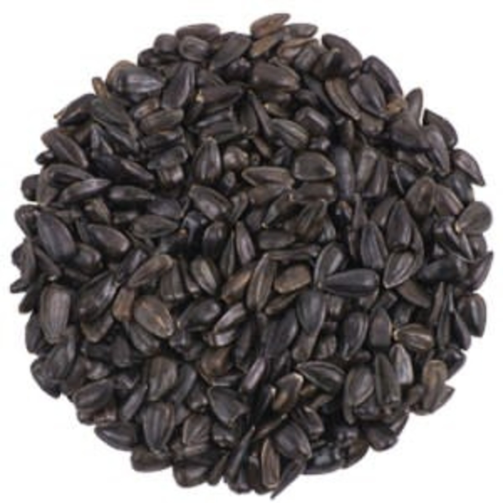 Bird Seed - Black Oil Sunflower - 5 lbs