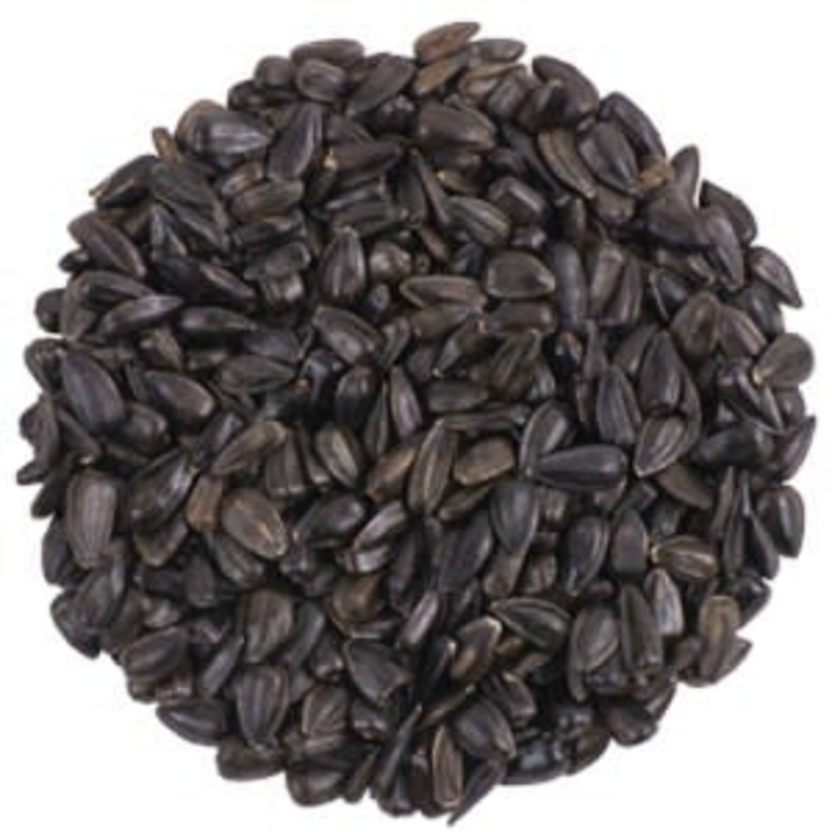 Black Oil Sunflower - 5 lbs