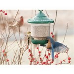 Clingers Only Bird Feeder - Green