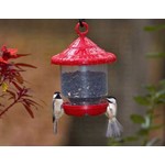 Clingers Only Bird Feeder - Red