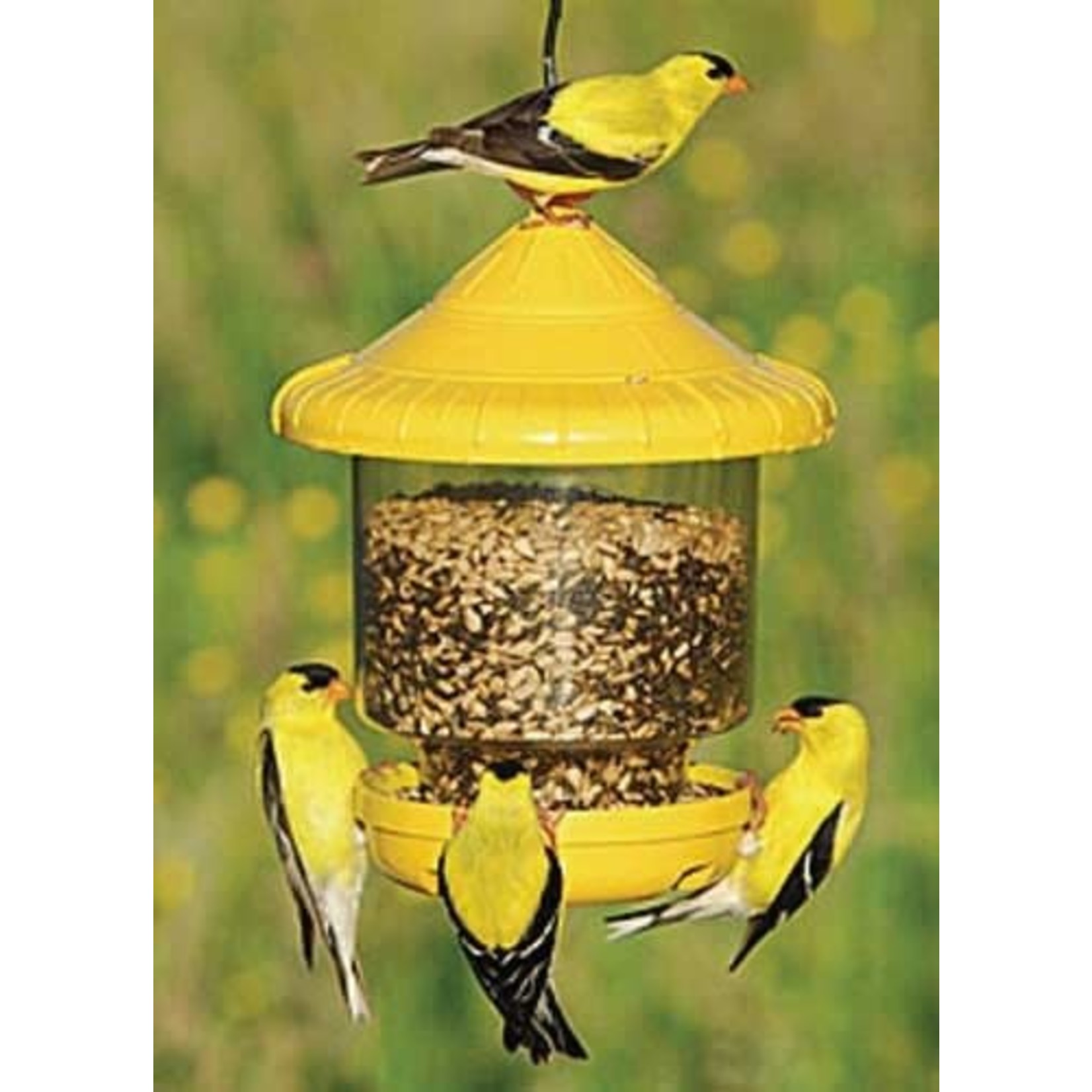 Clingers Only Bird Feeder - Yellow