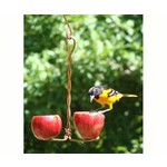 Fruit Feeder - Double