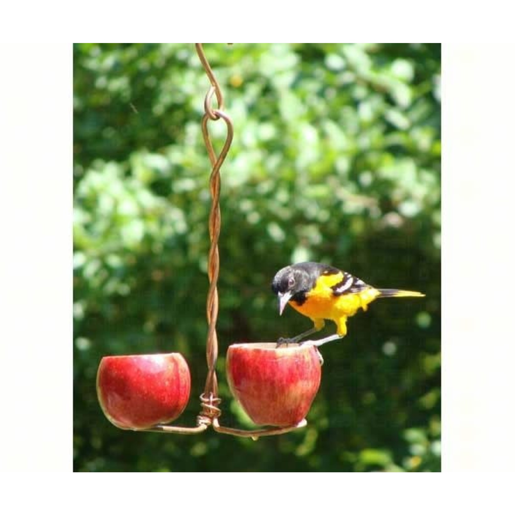 Fruit Feeder - Double