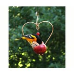Fruit Feeder - Love Birds