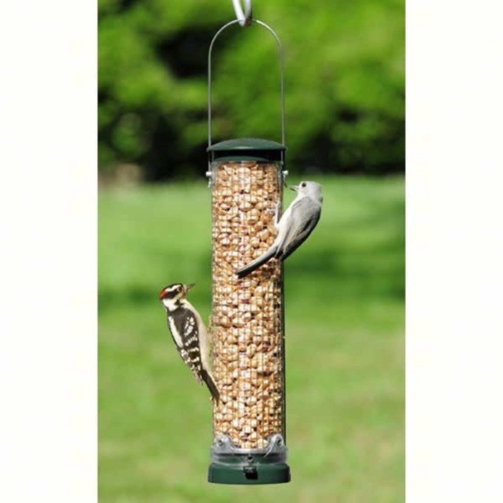 Quick Clean Mesh Peanut Feeder - Spruce