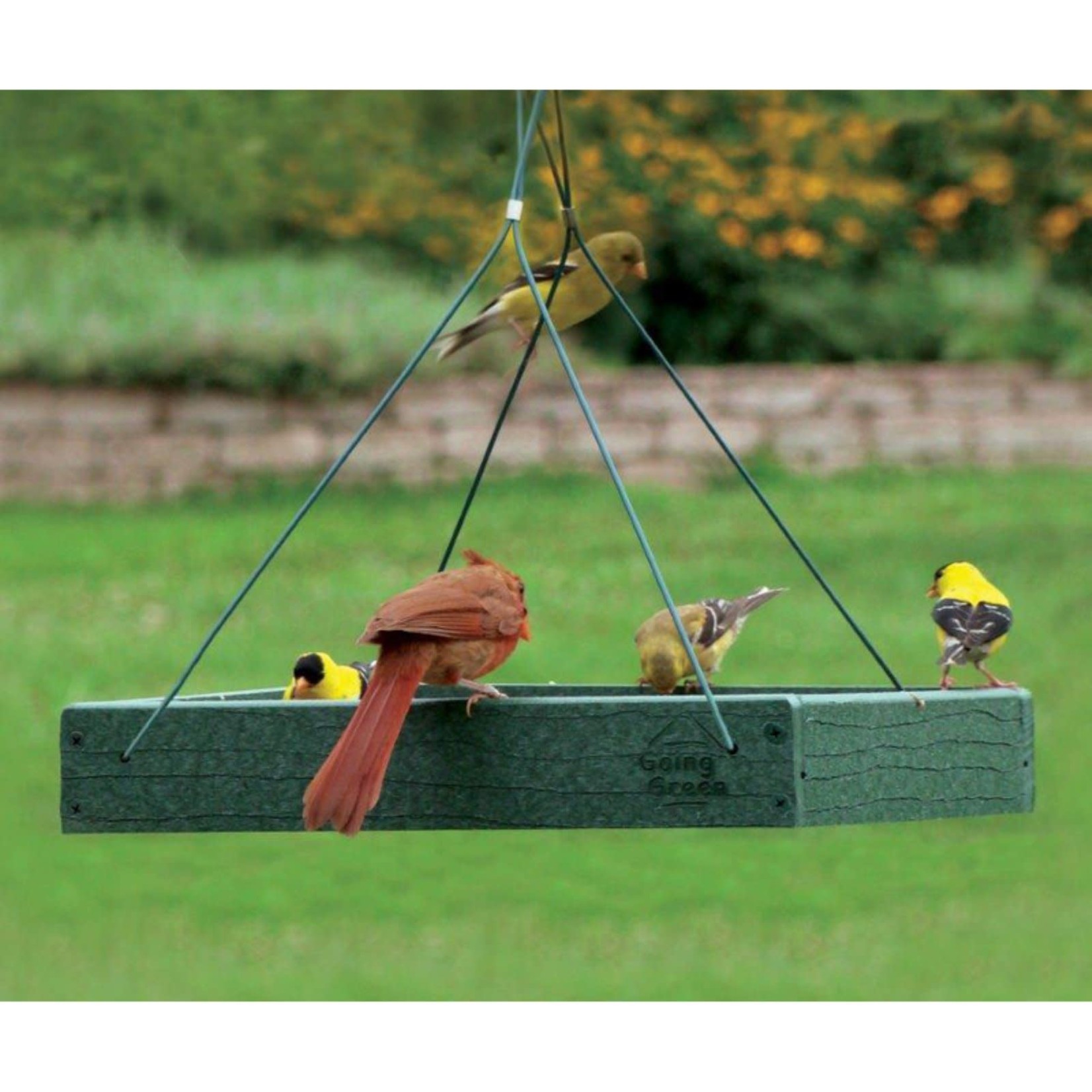 Hanging Tray Feeder - Going Green