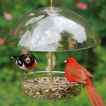 Seed Saver Domed Tray Feeder