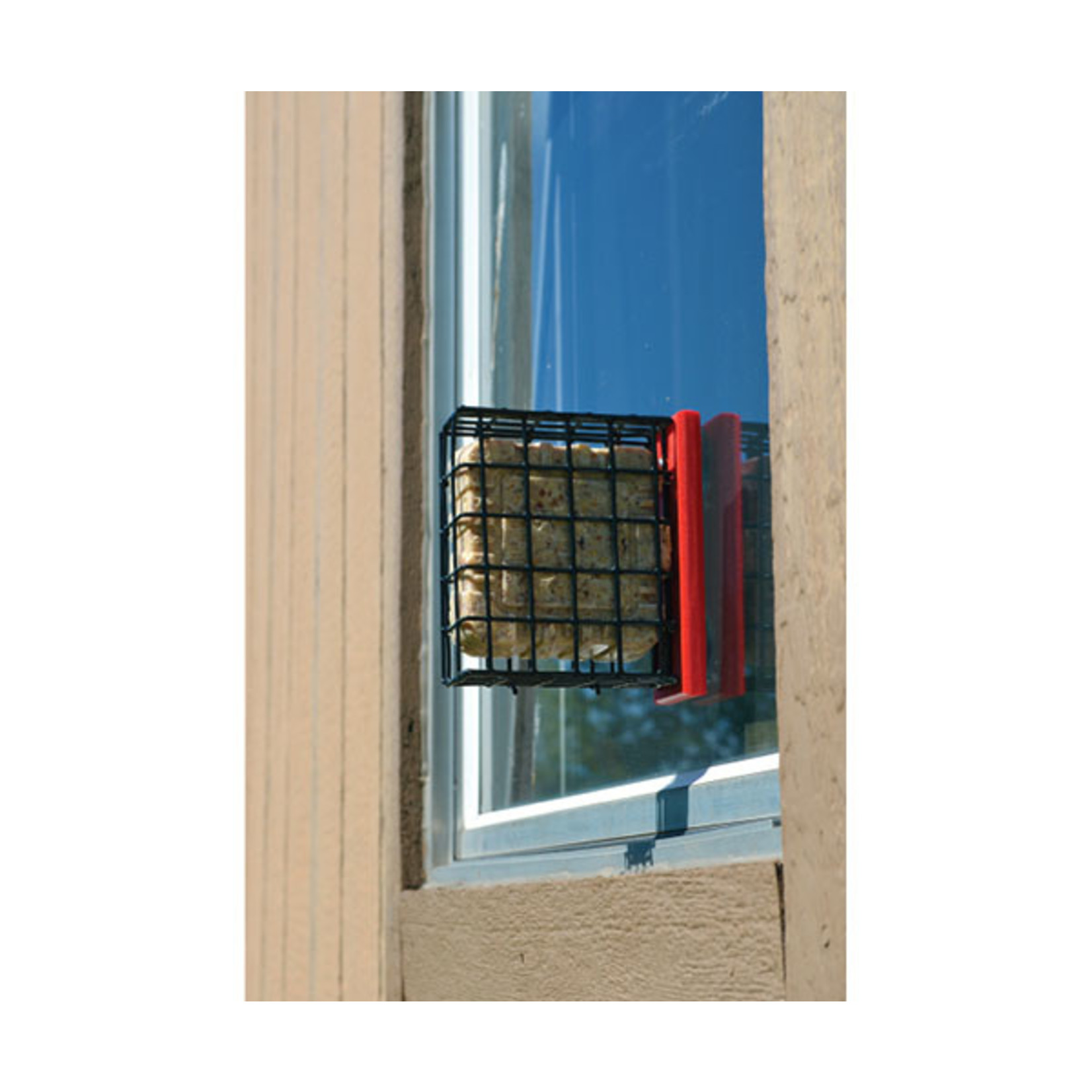 Red Suet Window Feeder