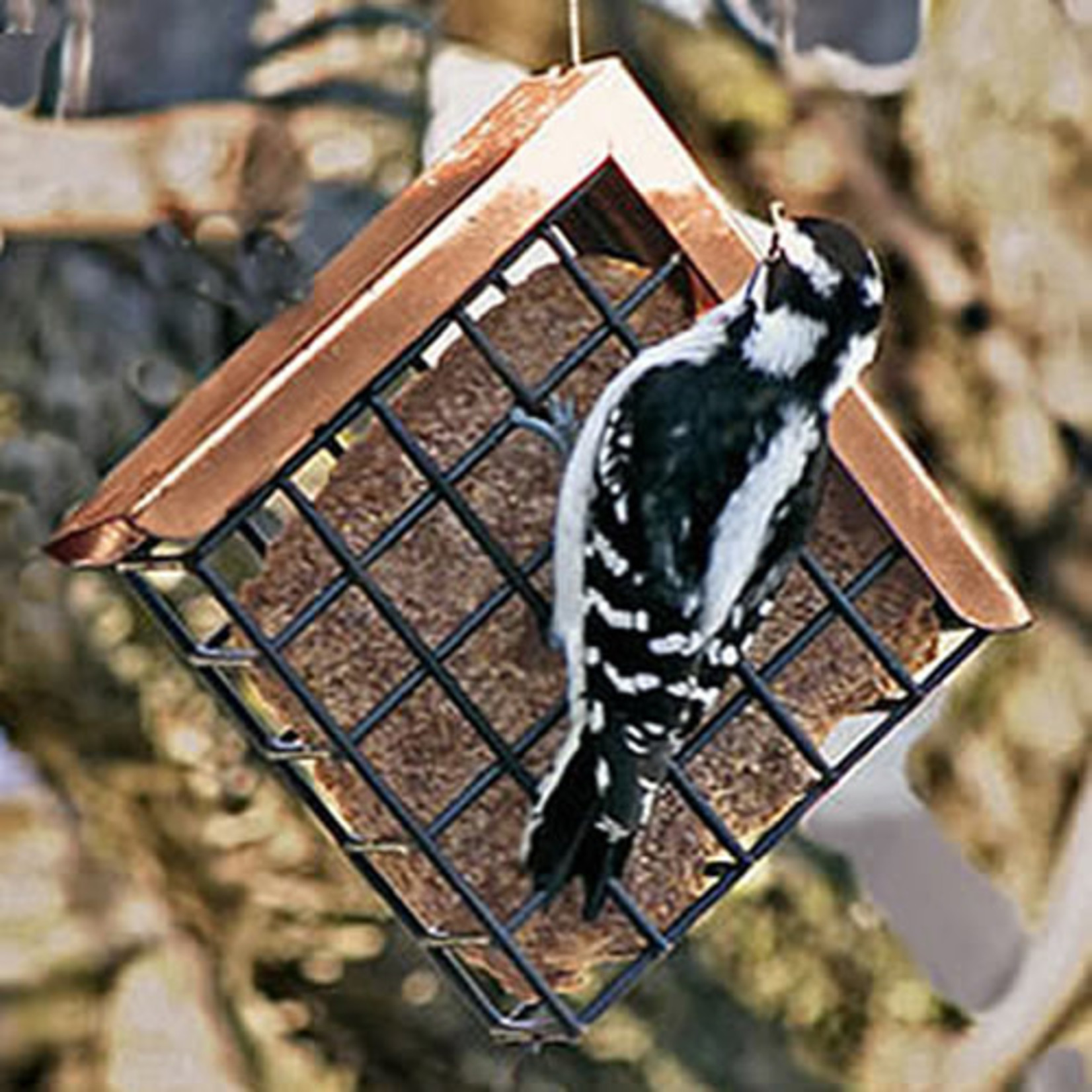 Suet or Seed Cake Feeder - Copper Roof