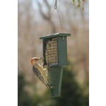 Suet or Seed Cake Feeder - Tail Prop - Hunter Green