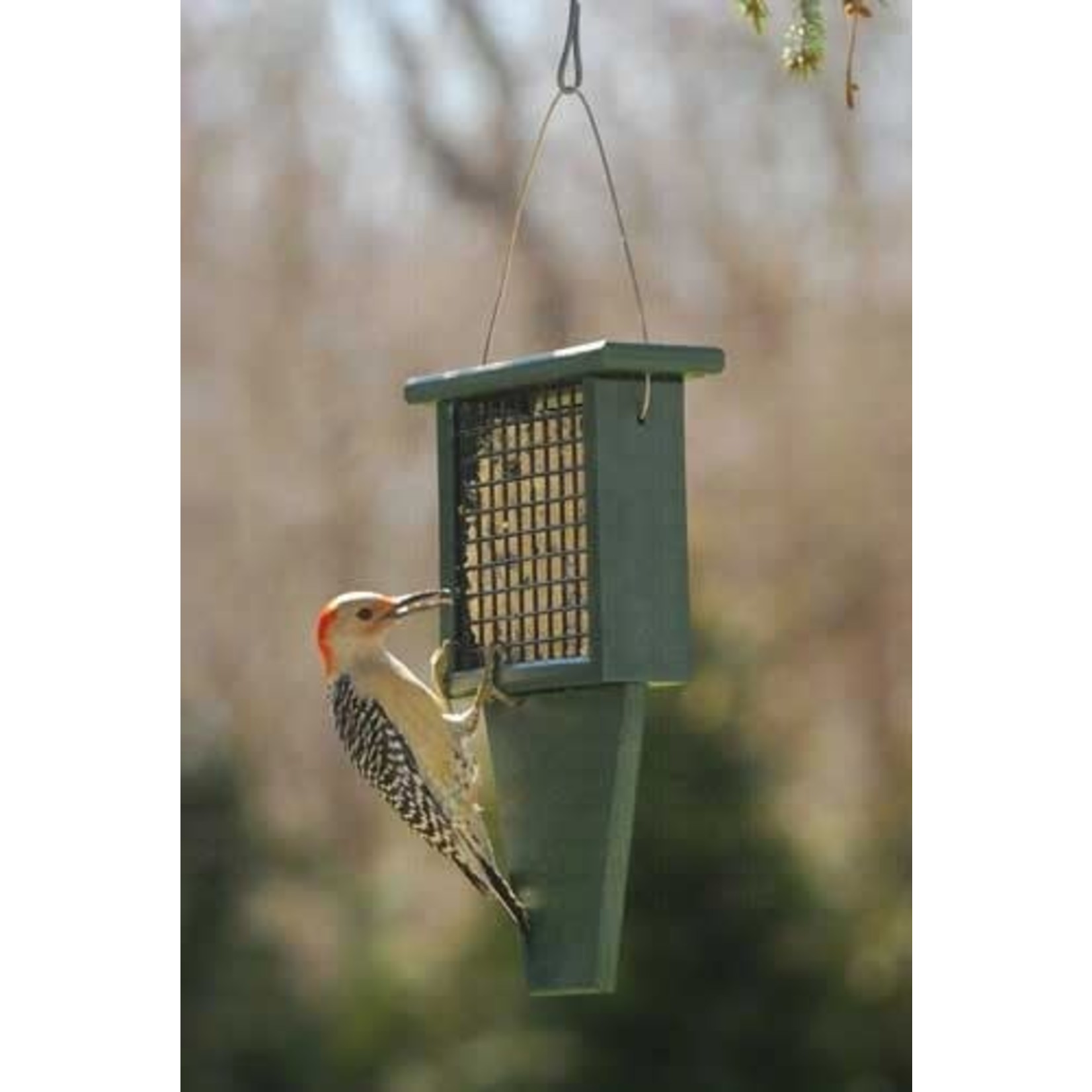 Suet or Seed Cake Feeder - Tail Prop - Hunter Green