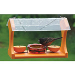 Oriole Feeder Going Green Clear Roof w/ Jelly Dish