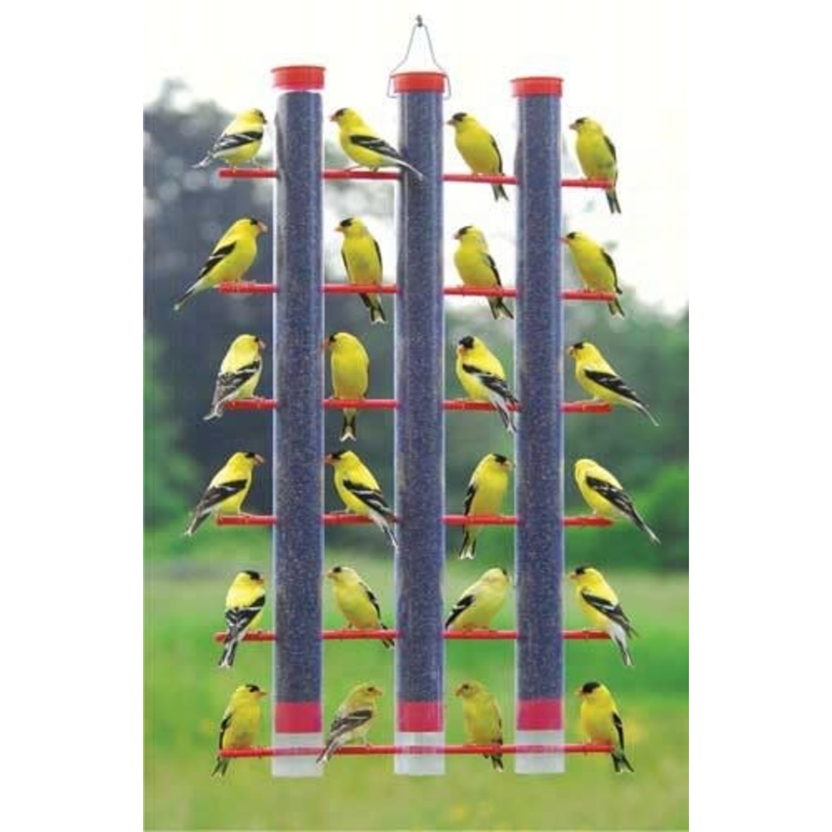 Finches Favorite 3-Tube Feeder - Red