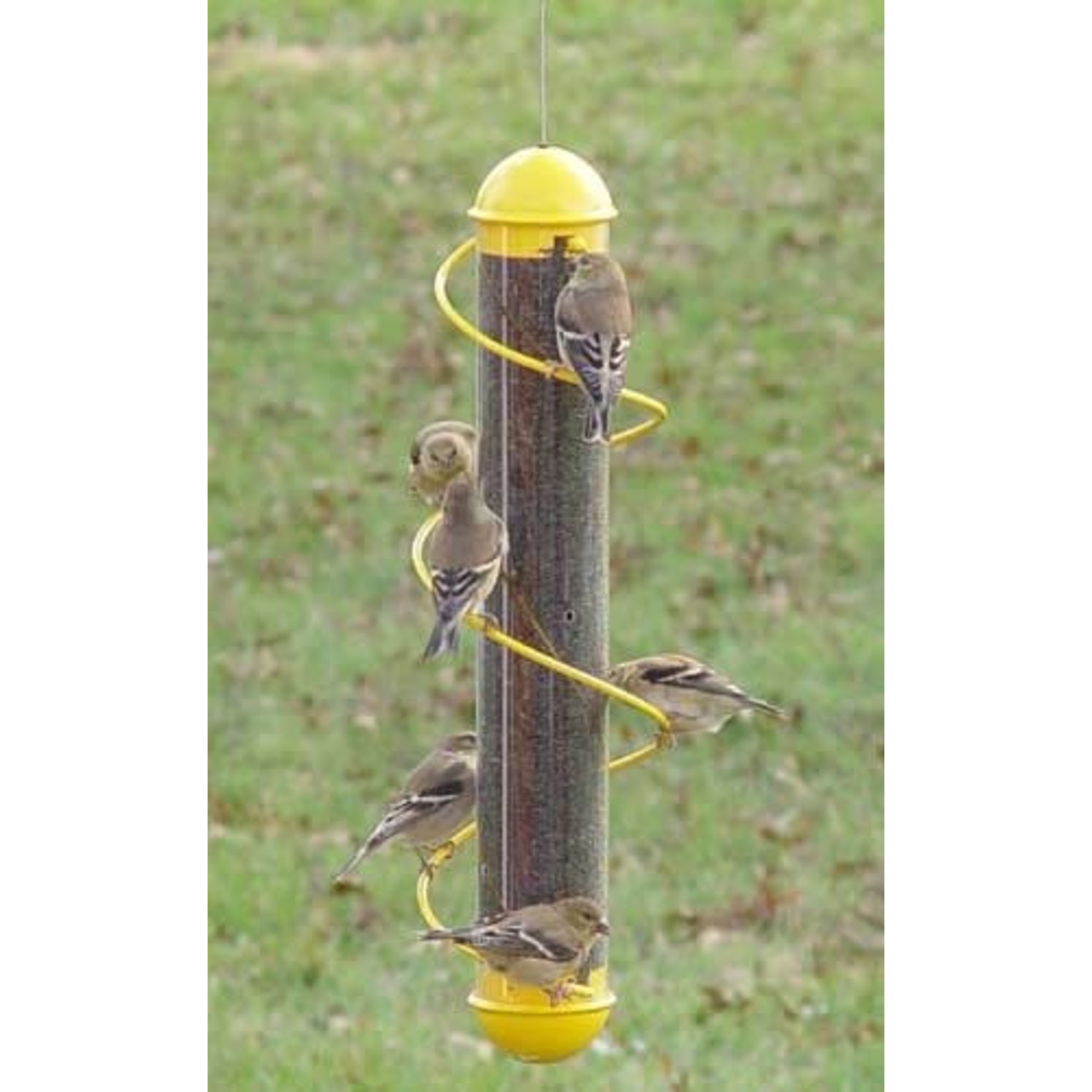Spiral Finch Tube - Yellow - 17"