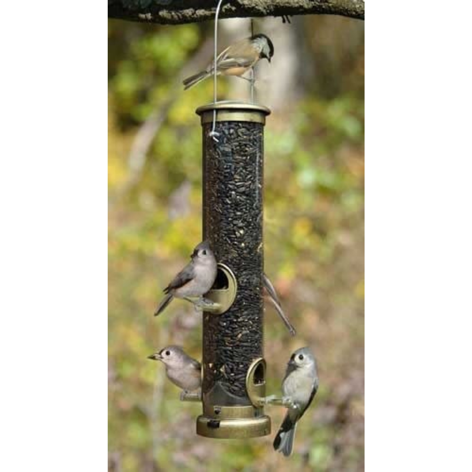 Quick Clean Base Seed Tube Feeder - Medium - Antique Brass