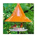 Oriole Feeder - Sky Cafe