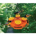 Ultimate Oriole Feeder