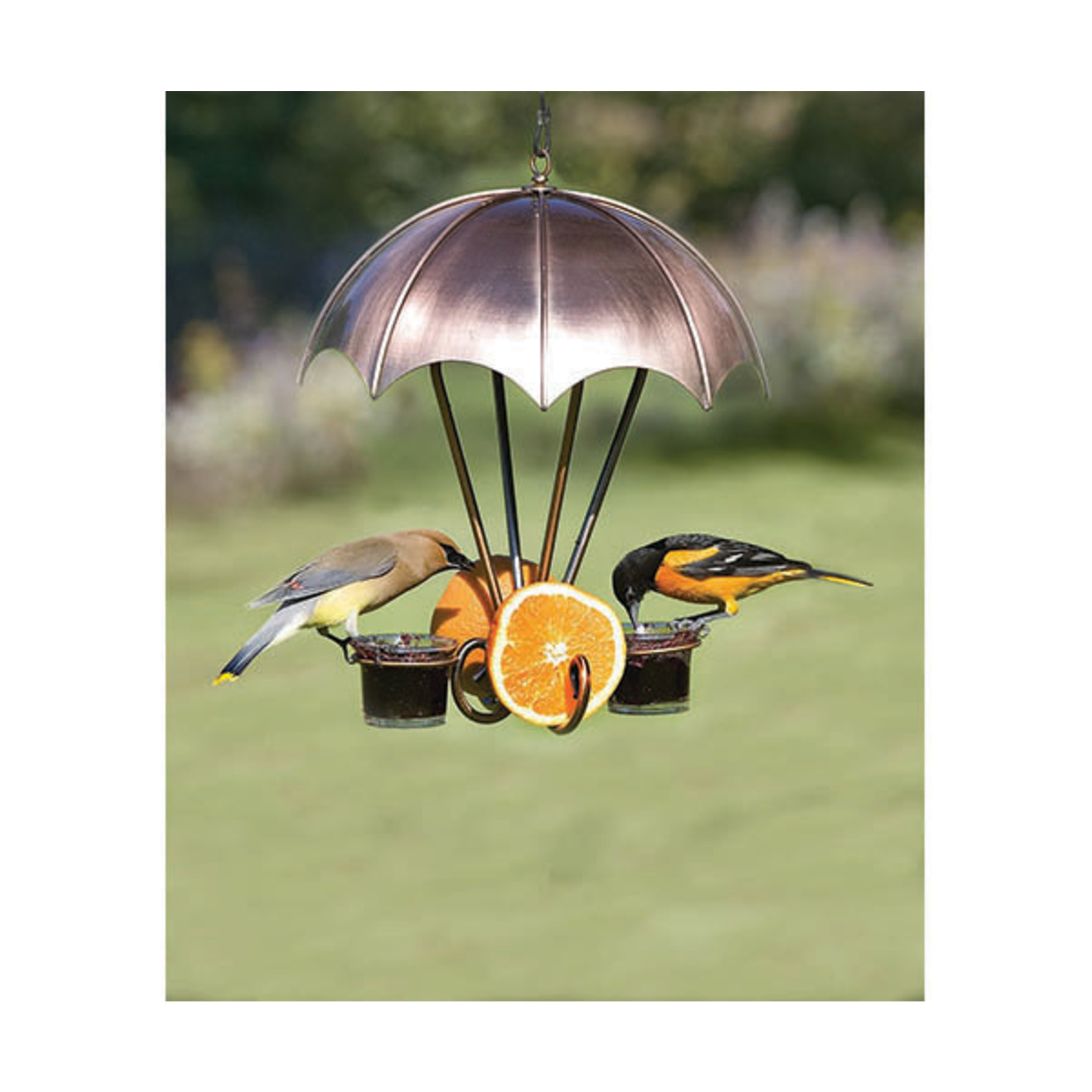 Brushed Copper Umbrella Oriole Feeder