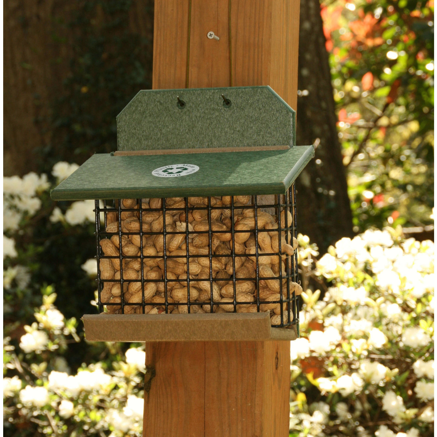 Squirrel Feeder - Hunter Green Driftwood