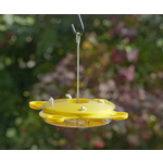 Butterfly Feeder with Ant Moat